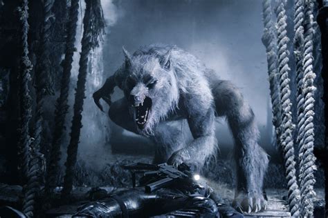 The Werewolf Curse: A Supernatural Phenomenon or Medical Condition?